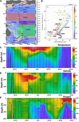 Microbial Growth and Organic Matter Cycling in the Pacific Ocean Along a Latitudinal Transect Between Subarctic and Subantarctic Waters